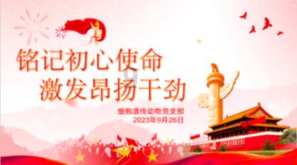 昔日撂荒地 今日“致富园”