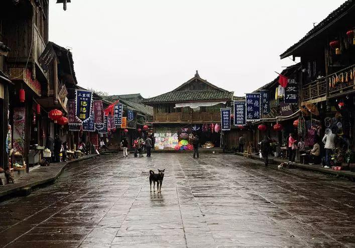 歌力思预计2023年利润大增，也拉不住股价创历史最低